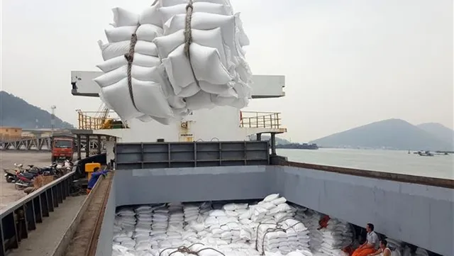 Việt Nam earns $1.73 billion from rice exports in first seven months of 2019