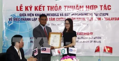 Singaporean, Malaysian firms seek business opportunities in Cần Thơ