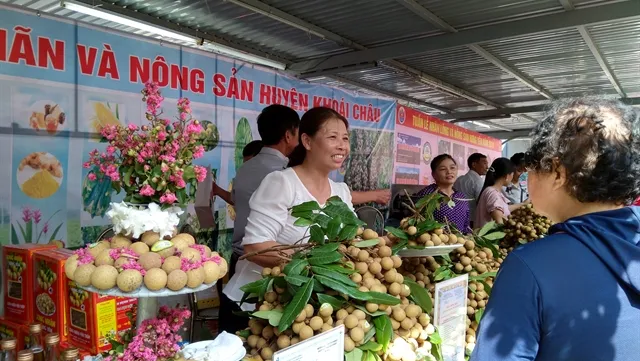 2019 Hưng Yên longan week opens in Hà Nội
