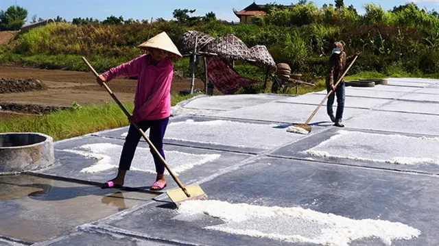Salt workers struggle under the harsh sun
