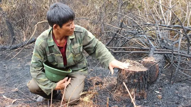 Fighting fire with a chainsaw