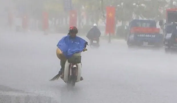 Fewer storms to hit Việt Nam in 2019