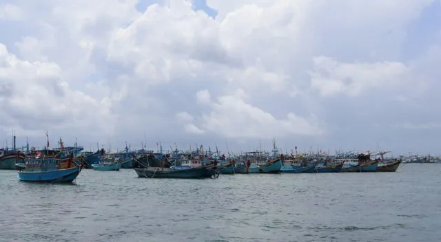 Bình Thuận sees jump in fish catch