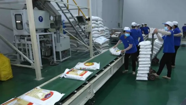 Việt Nam faces difficulties in rice exports