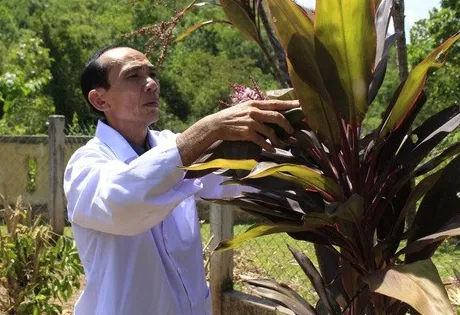 Doctor spends his life helping remote villagers in Quảng Trị