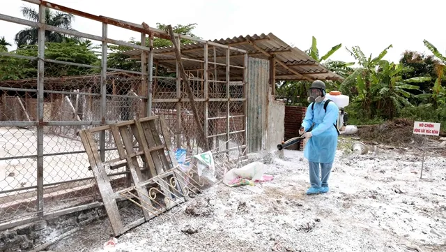 Hà Nội animal health sector well prevents diseases in rainy season