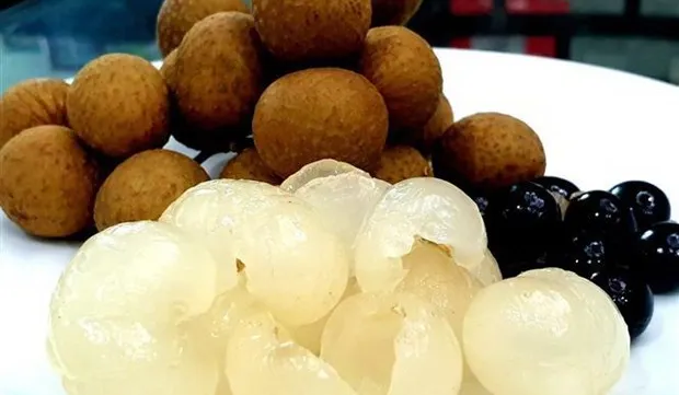 Festival day of Vietnamese longan opens in Australia