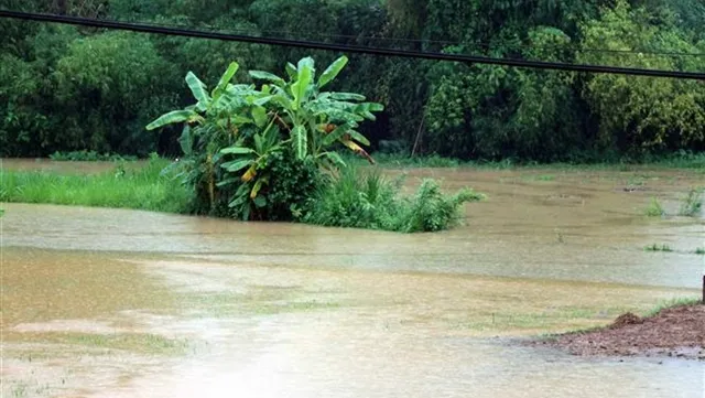 Five killed in northern torrential rain, one missing