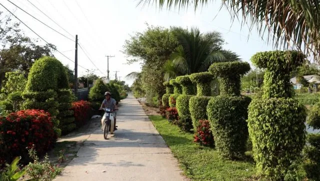 New-style rural area building programme achieves much success in Mekong Delta