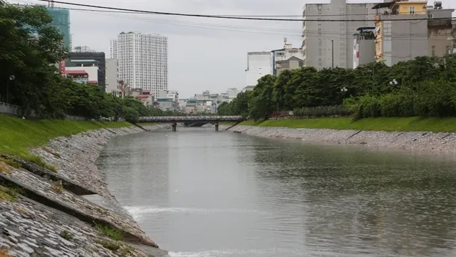 Carp to be released in river, lake