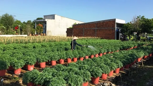 Mekong Delta takes steps to improve farming co-operatives