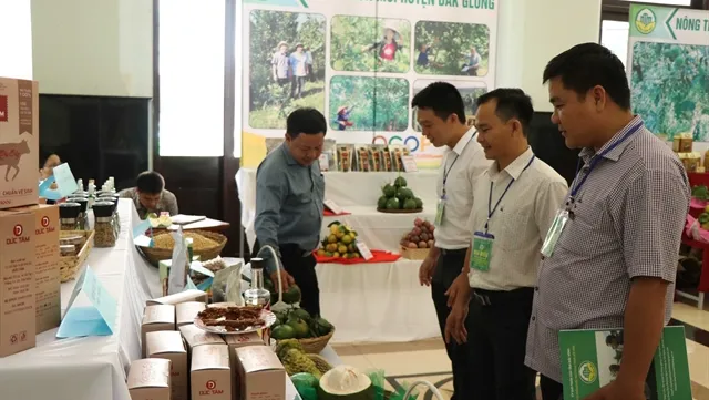 Đắk Nông sets targets for 'new-style rural areas'