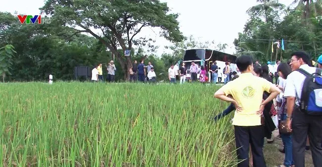Vietnamese and Thai farmers share initiatives