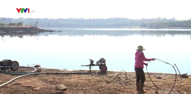 Central highlands lacks water for crops