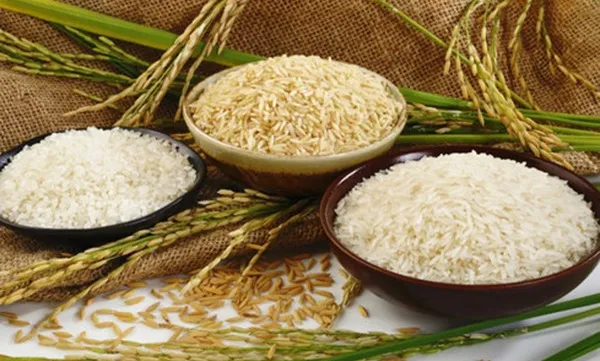 Vietnam needs new vision for rice production