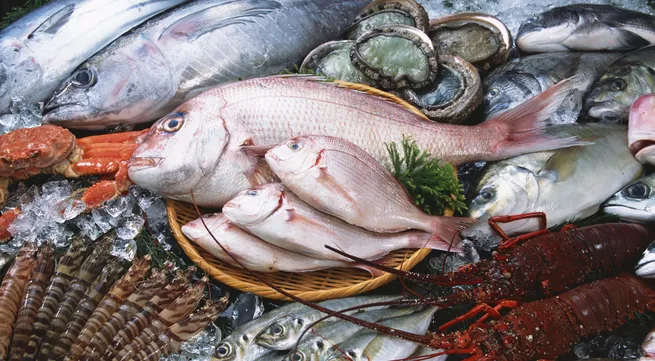 Aquaculture products imported into ASEAN to reach $US1bln