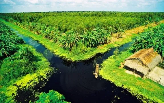 Unstable weather affects shrimp farming in the Mekong delta