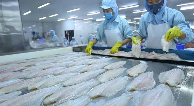 Tra fish exports reach record high