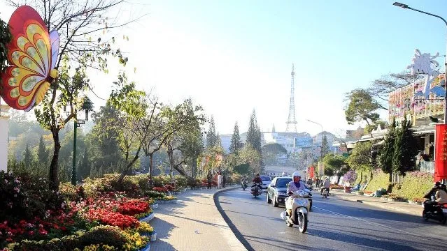 Art flower spaces at Da Lat Flower Festival 2019 open