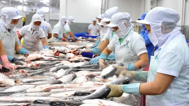 U.S cuts import tax on Vietnamese Tra fish