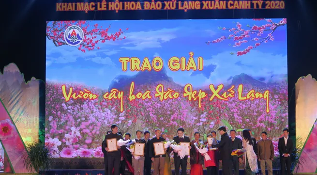 Lang Son Peach Blossom Festival kicks off