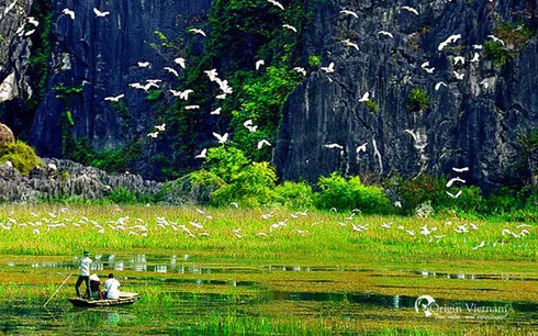 Exploring Van Long Wetland Nature Reserve in Ninh Binh