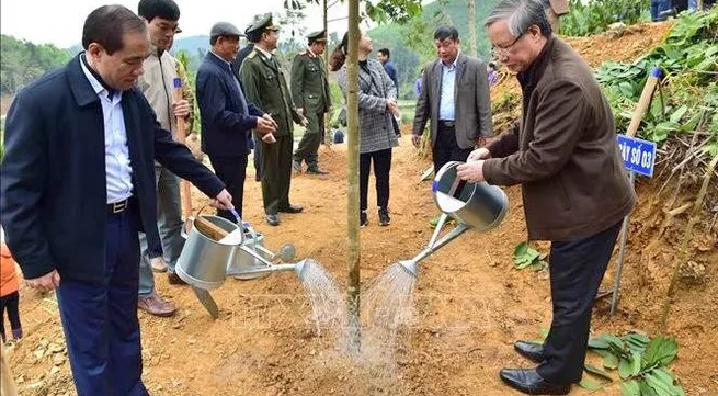 Tree-planting festival launched in Tuyen Quang province