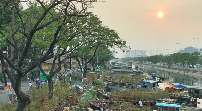 Spring flower festival celebrating Lunar New Year in HCMC