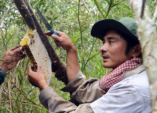 Ca Mau’s two local specialties recognized as intangible cultural heritages