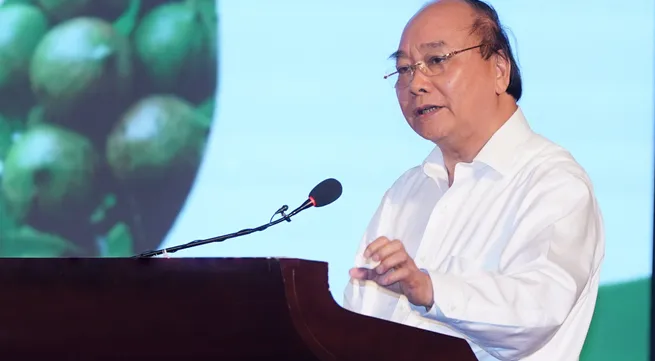 Measures to boost development of Macadamia trees