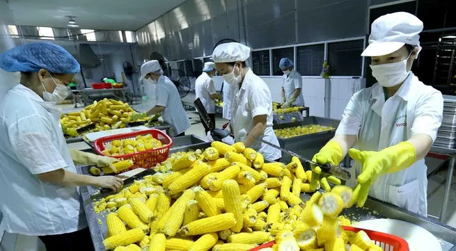 Vietnam on course to earn US$40 billion in agricultural exports