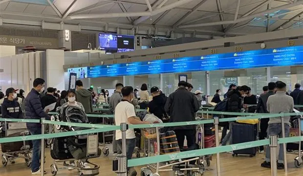 Nearly 450 Vietnamese citizens flown home from RoK