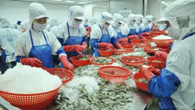 Vietnam ships first batch of shrimp to EU under new trade pact