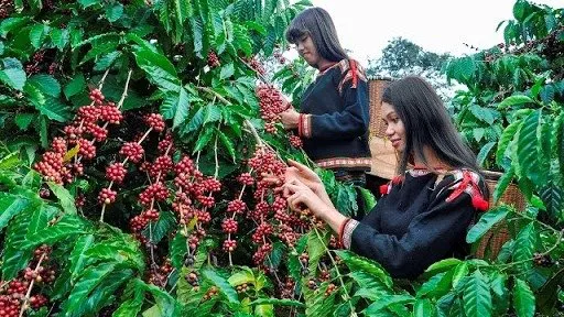 Discussions held to promote imports of agricultural products from US