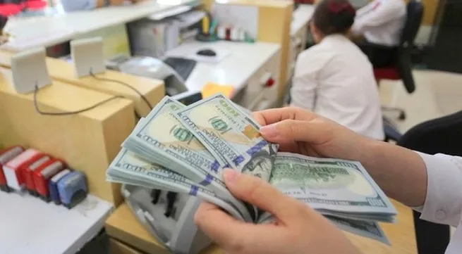 Vietnam’s forex reserve sets new record