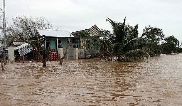 Vietnam should take urgent action in face of natural disasters: WB