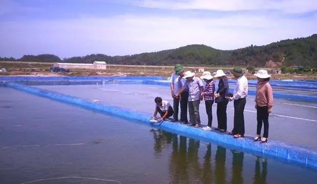 Vietnamese hard clams become world first to win ASC certificate