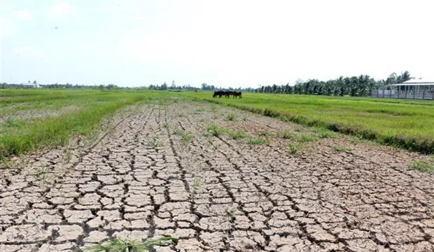 Project to build resilience, sustainable settlement in Mekong Delta