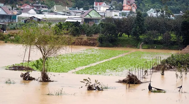 Heavy rains hit central localities and Central Highlands