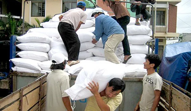 Over 3,590 tonnes of rice allocated to disaster-hit central provinces