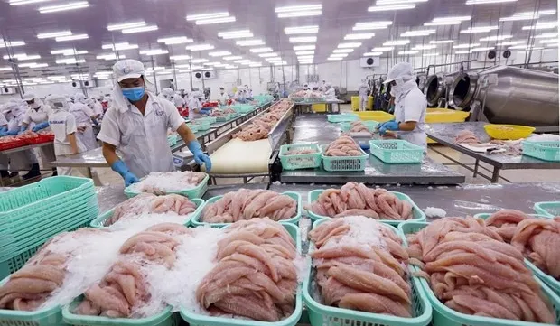 International media highlights Vietnam’s economic success in 2019