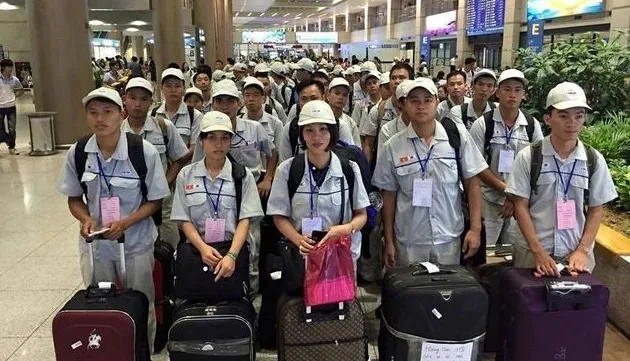 Over 650,000 Vietnamese labourers working abroad