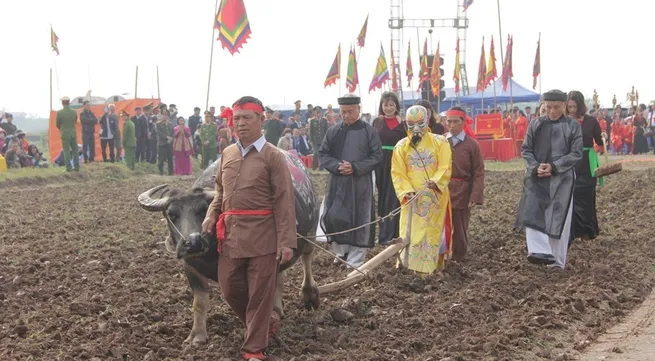 Doi Son Ploughing Festival opens in Ha Nam