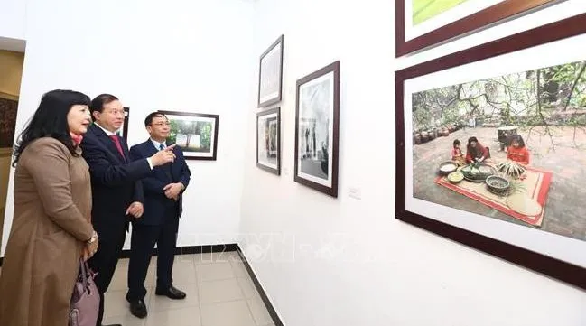 Exhibition opens in Hanoi to celebrate new spring