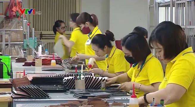 Footwear industry must implement green development to gain growth targets: Experts