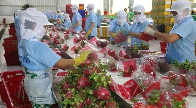 Agro-forestry and fishery sector posts 49% increase in trade surplus