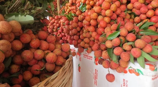Vietnam, China hold conference to boost agricultural trade