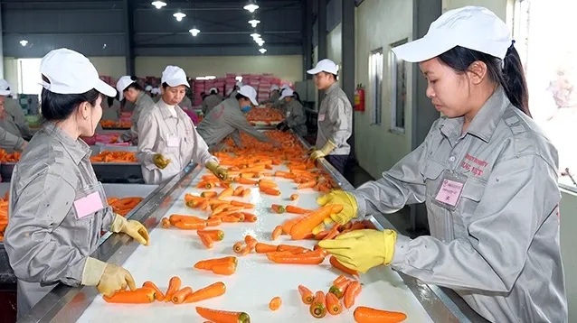 Improved processing industry helps enhance agricultural products
