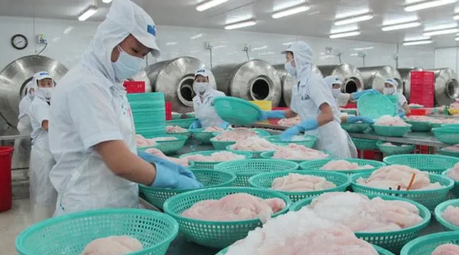 US reduces import duties on Vietnamese tra and basa fish