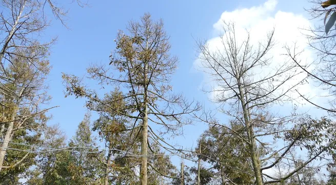 Southern Vietnam suffers from complex natural disasters